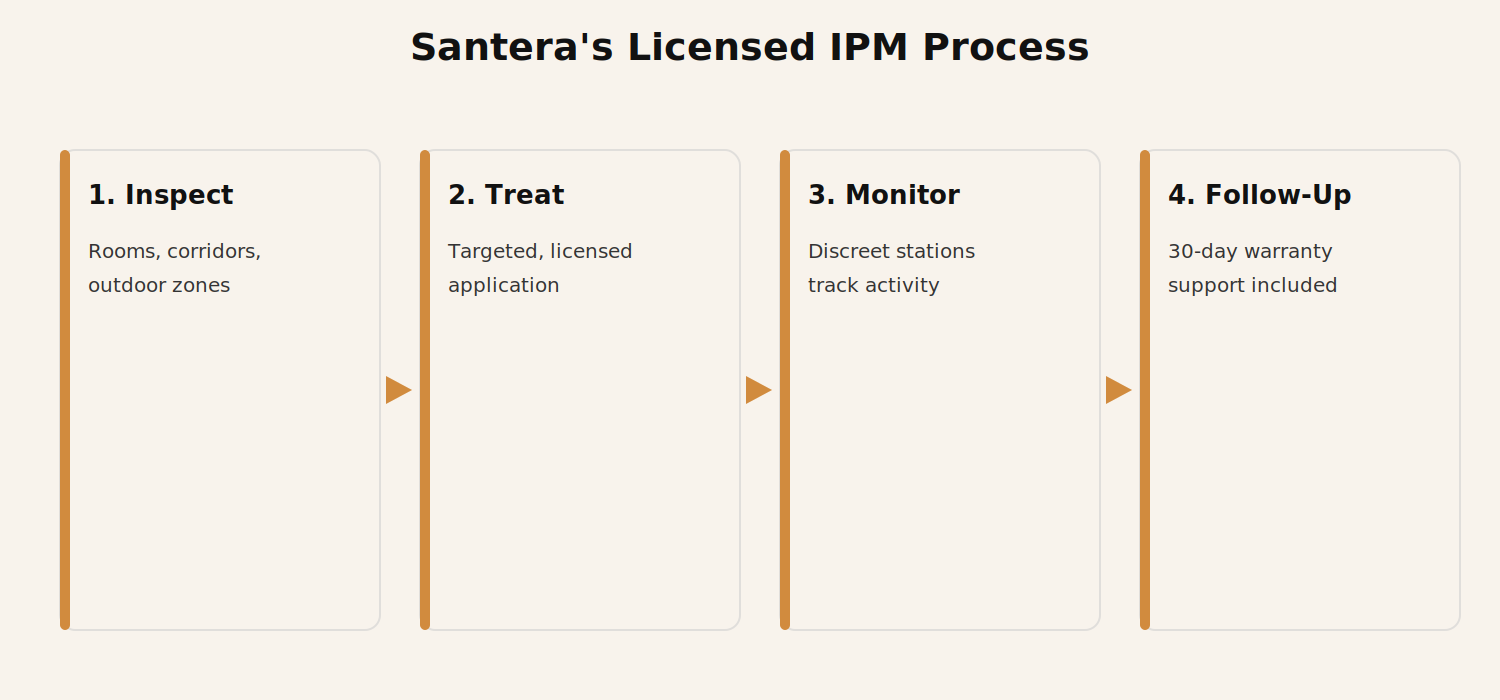 Four steps of a licensed IPM flea treatment process for hotels
