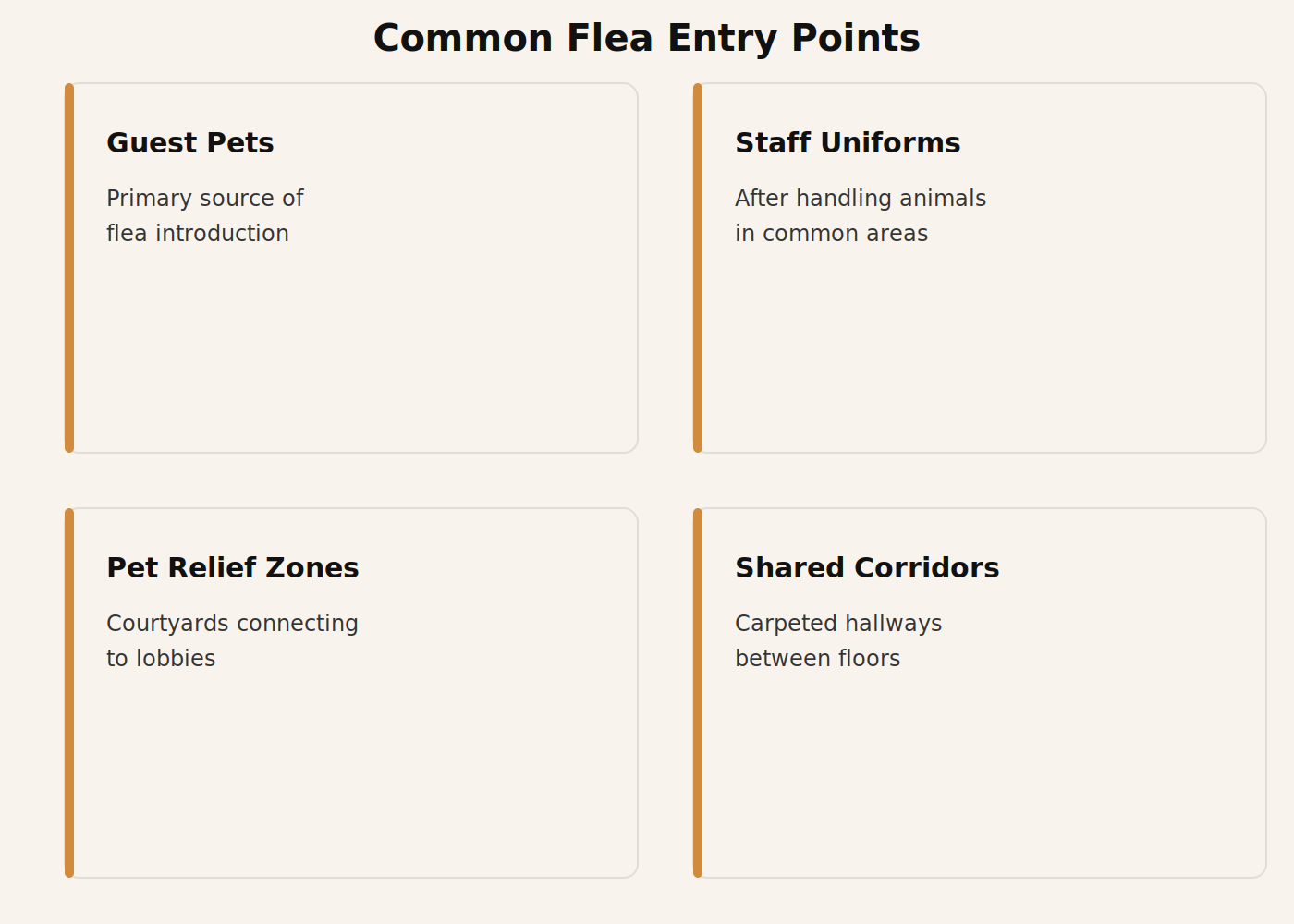 Diagram of flea entry points and hotspots in a pet-friendly hotel