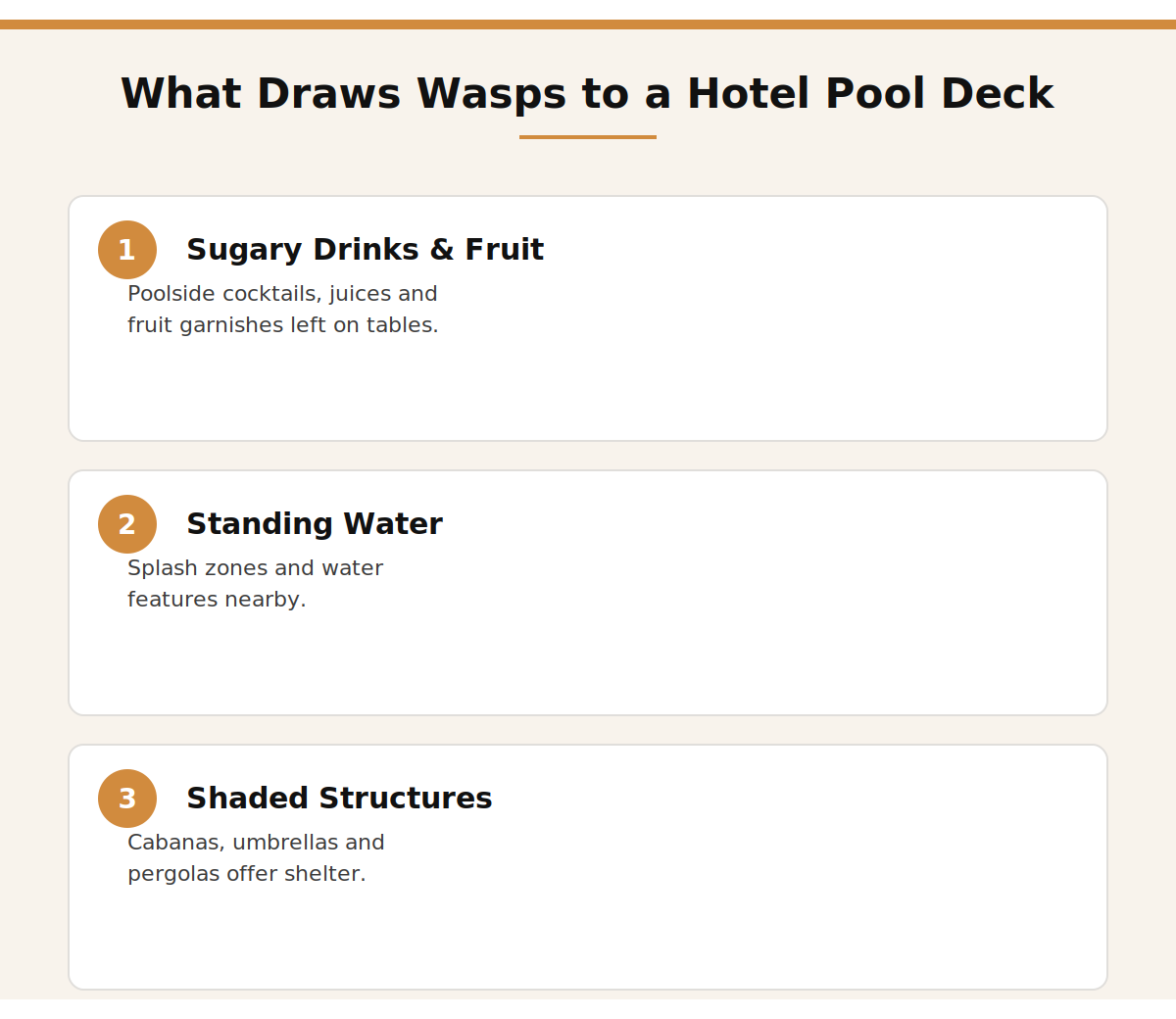 Why wasps and hornets target Dubai hotel pool decks and terraces