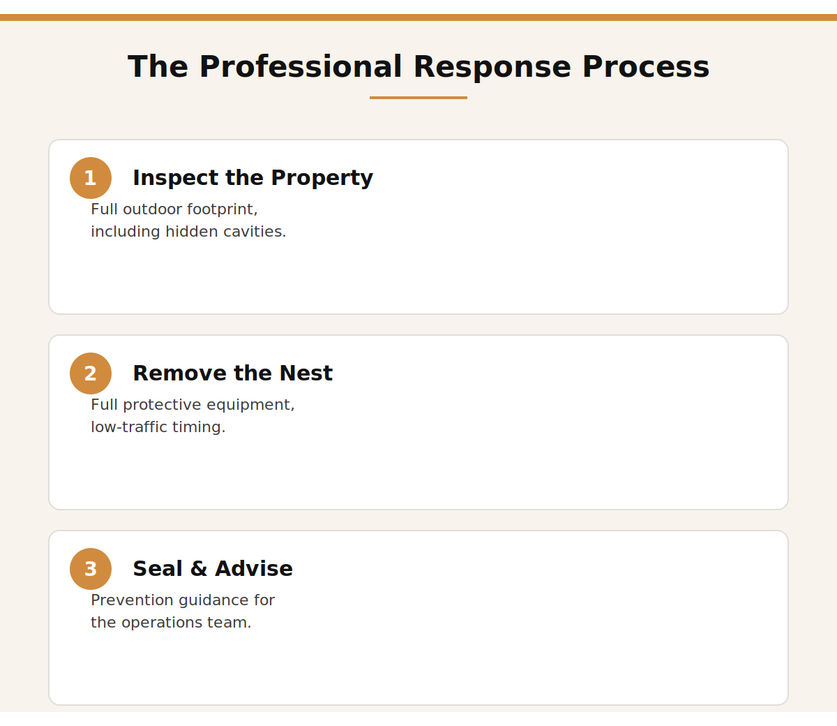 Santera's professional wasp and hornet response process for Dubai hotel properties