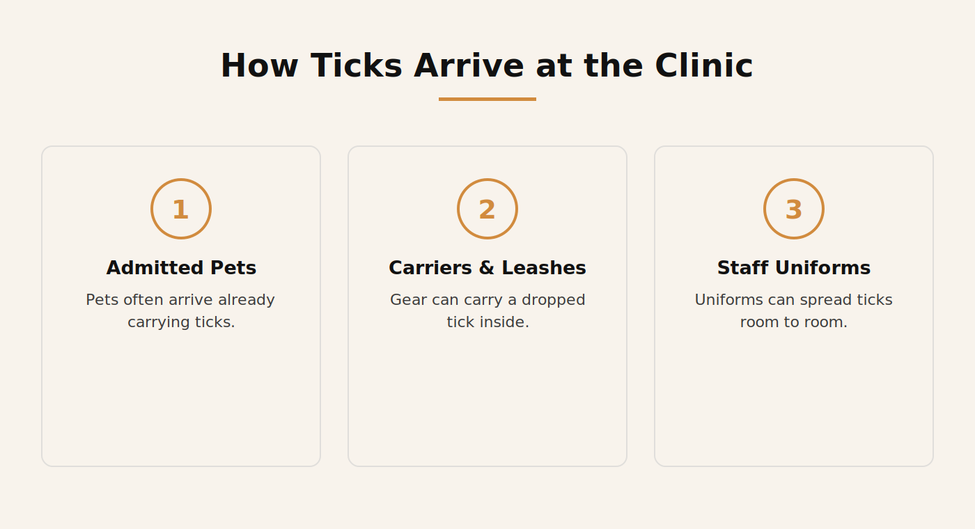 Diagram showing how ticks arrive at a Dubai veterinary clinic on pets, carriers and staff clothing