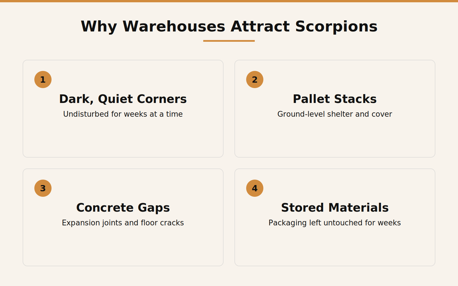 Infographic showing why scorpions favor dark, undisturbed warehouse ground-level spaces including pallet stacks, concrete gaps, and stored materials
