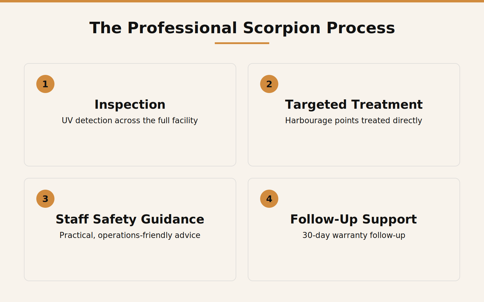 Infographic showing the professional scorpion IPM process: inspection, targeted treatment, staff-safety recommendations, follow-up
