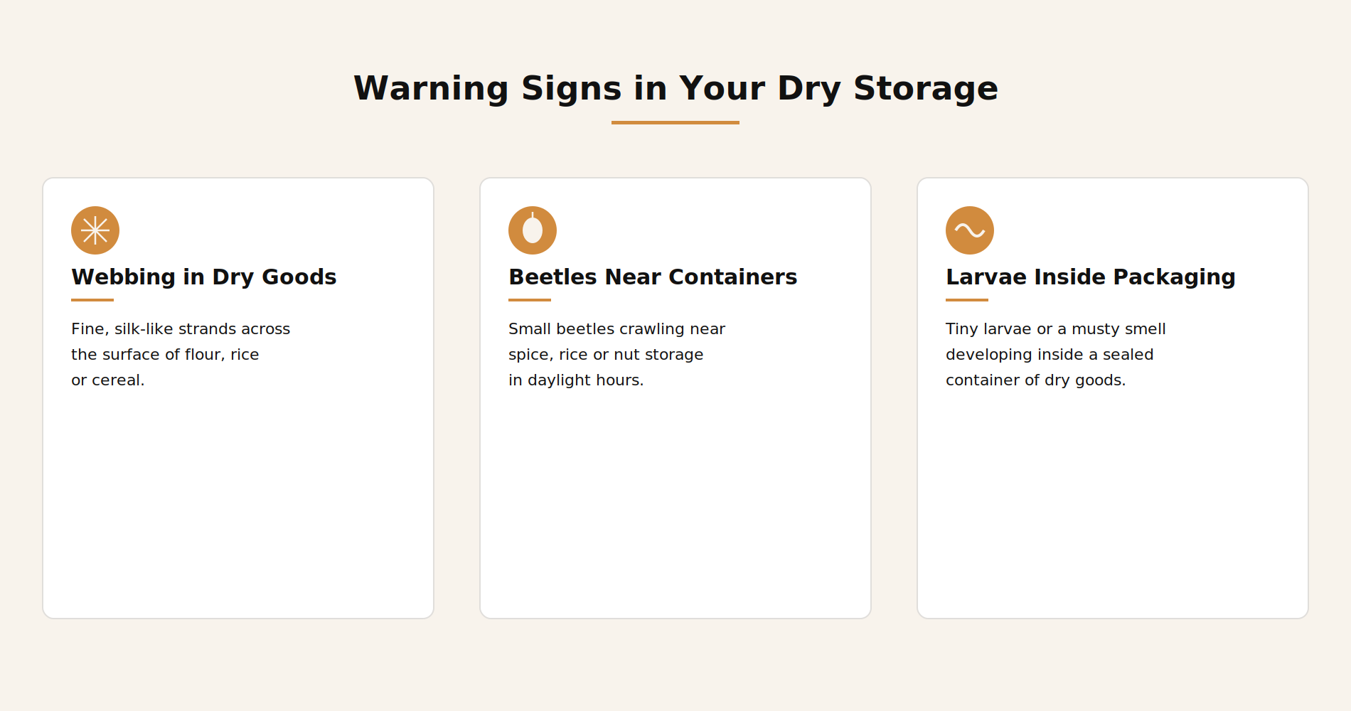Infographic listing warning signs of stored product pests in restaurant dry storage: webbing, beetles near containers, larvae in bags
