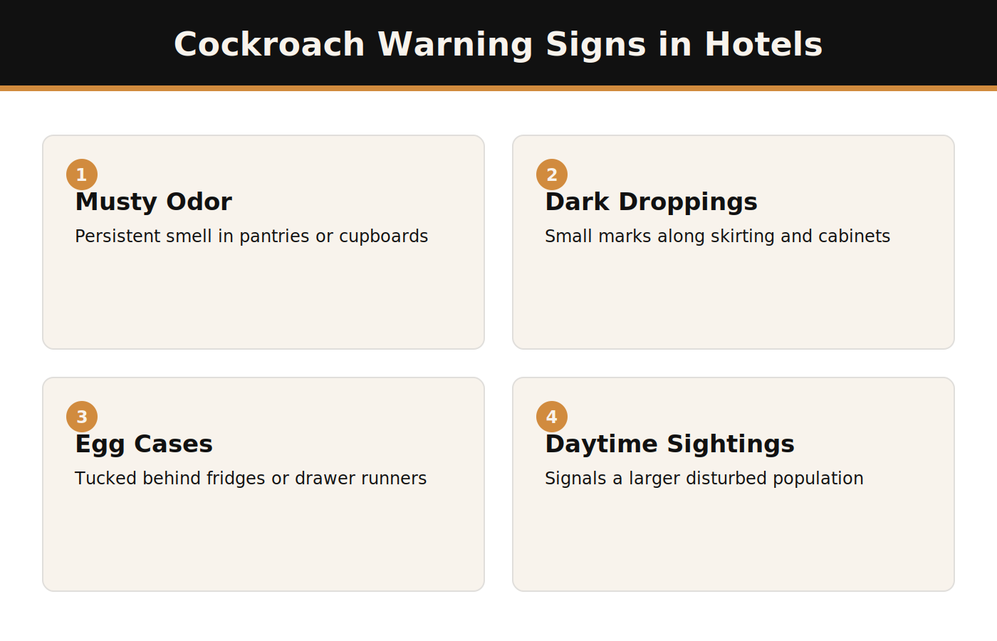 Cockroach warning signs in Dubai hotels infographic
