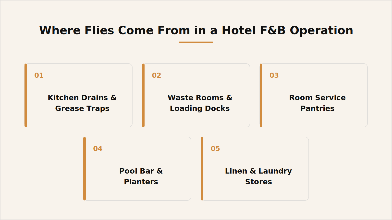 Where flies come from in a hotel food and beverage operation
