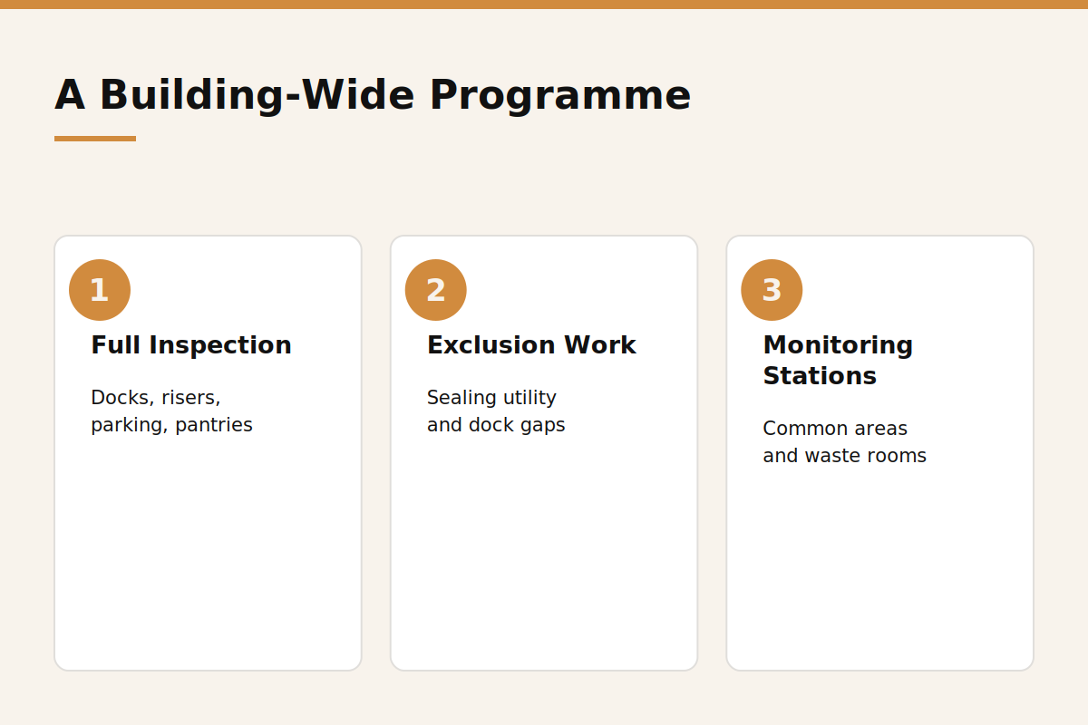 Building-wide rodent control programme steps infographic