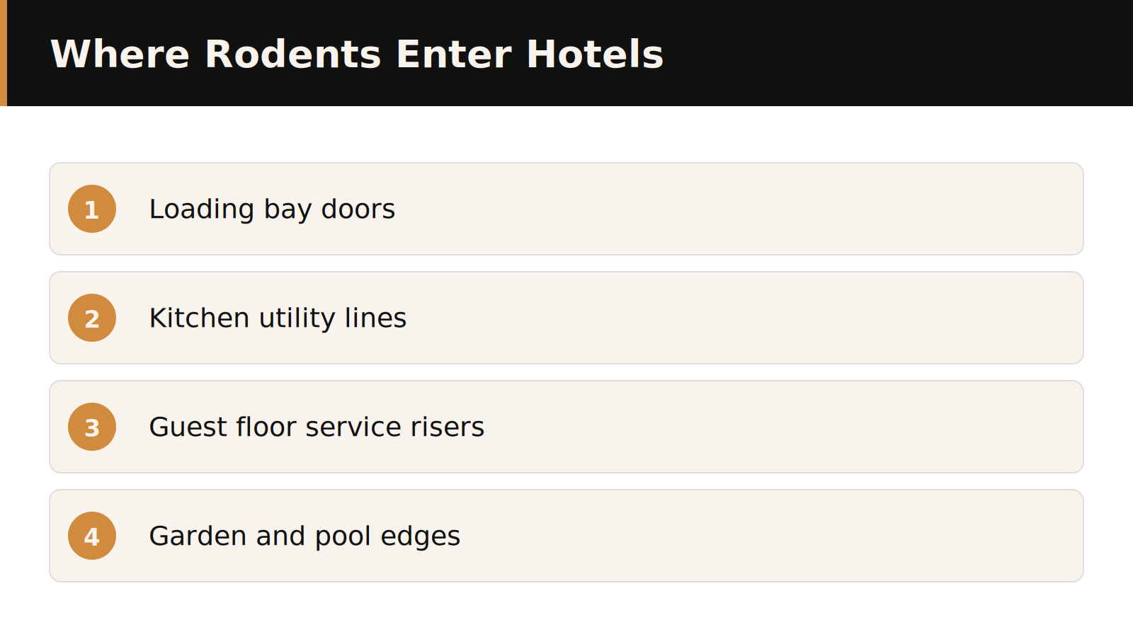 Where rodents enter a Dubai hotel infographic
