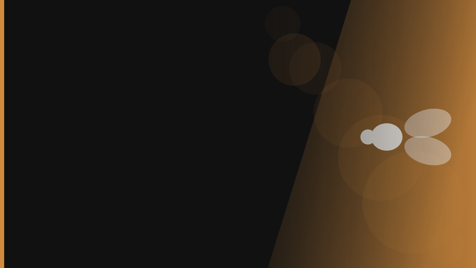 Santera branded background - Flies