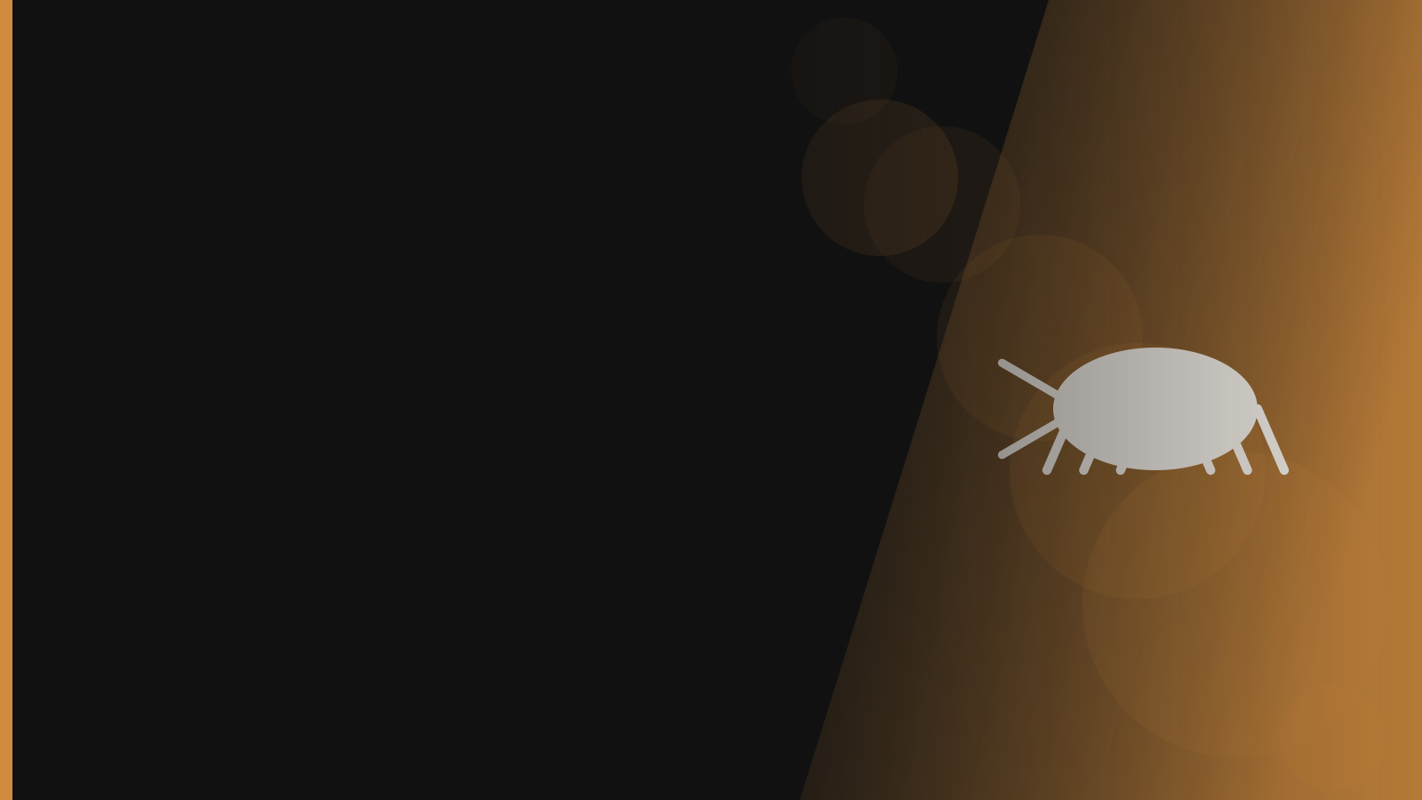 Santera branded background - Cockroaches
