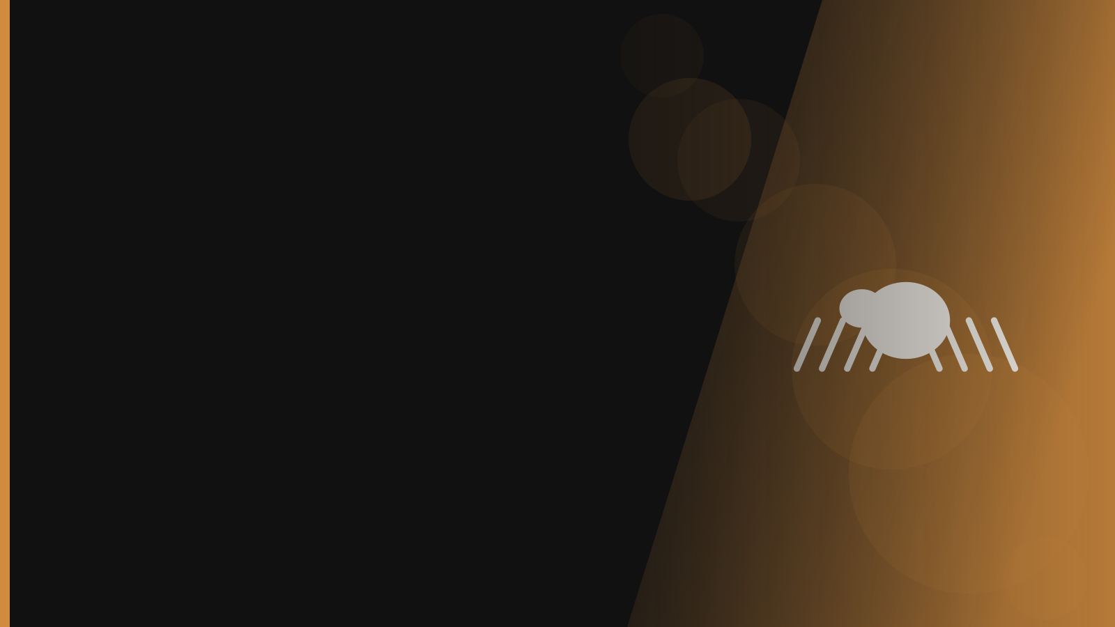 Santera branded background - Spiders
