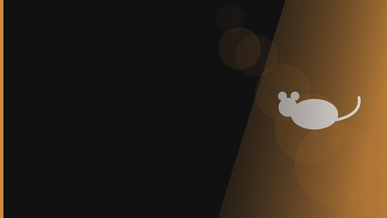 Santera branded background - Rodents