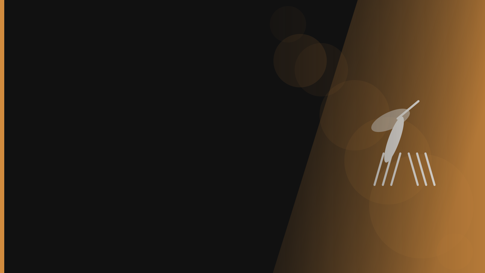 Santera branded background - Mosquitoes
