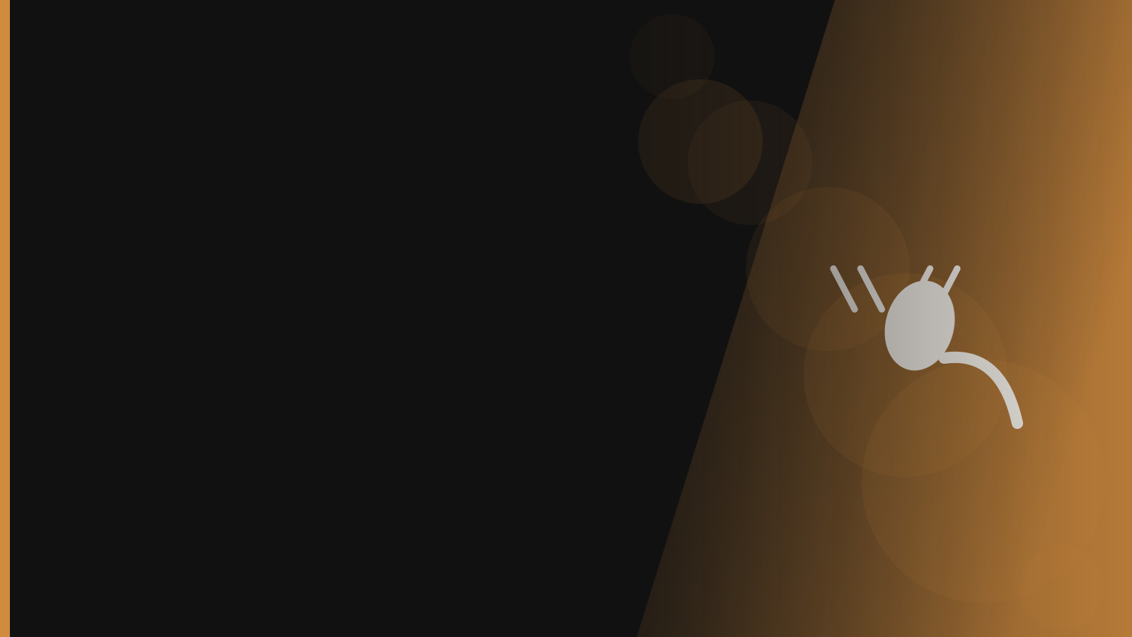 Santera branded background - Fleas