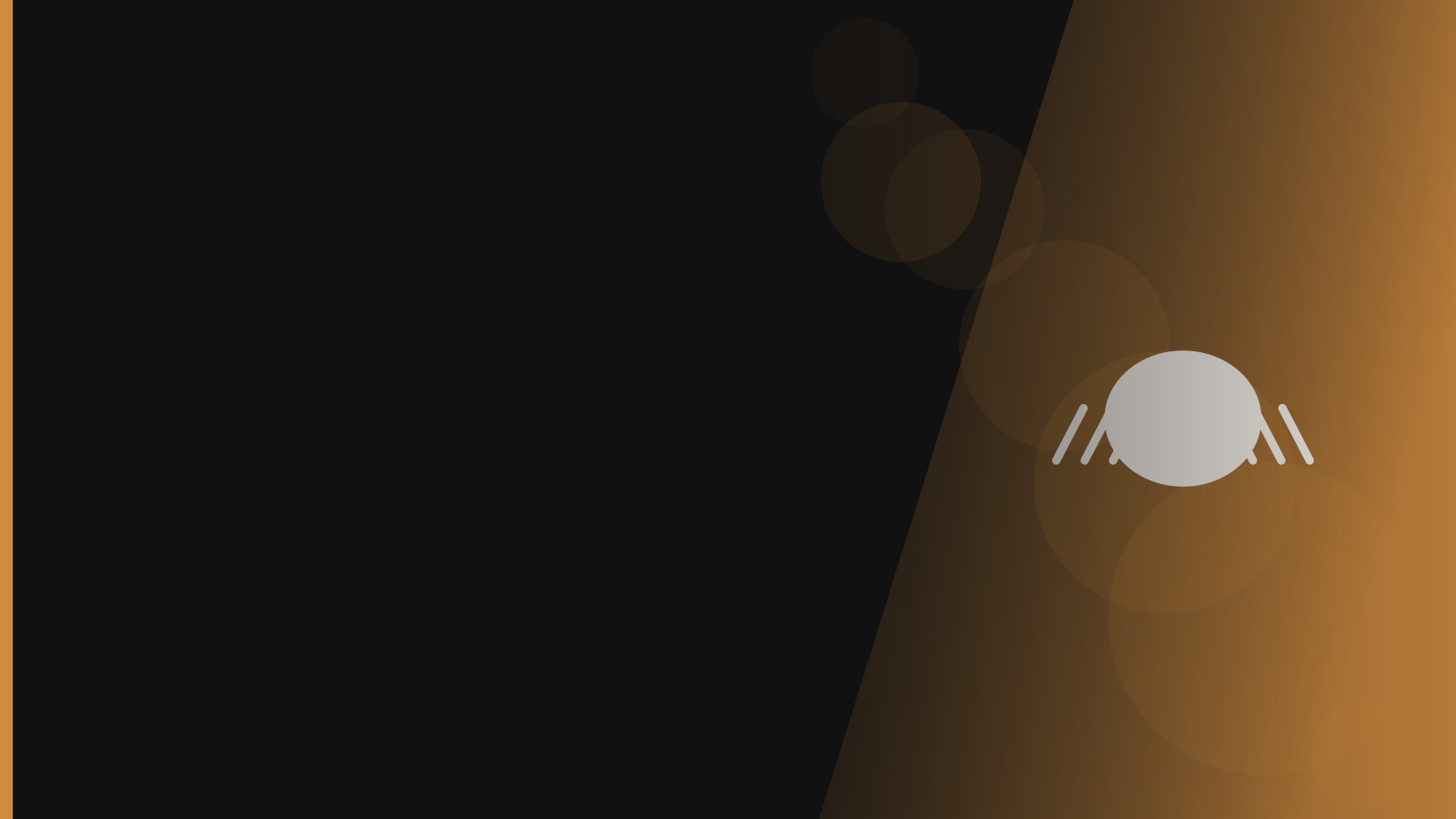 Santera branded background - Ticks