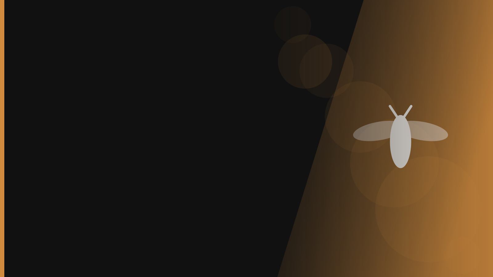 Santera branded background - Termites
