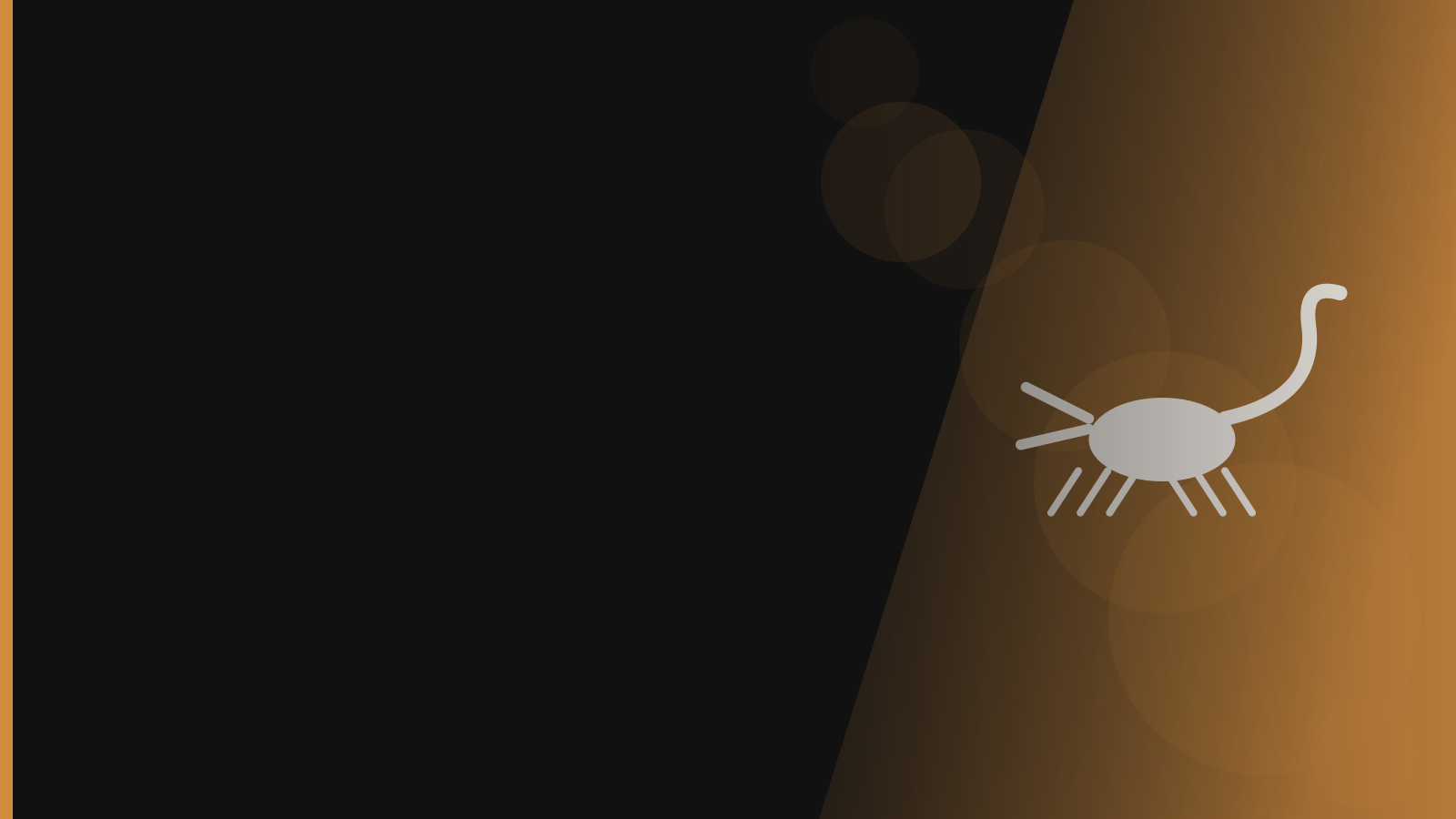 Santera branded background - Scorpions