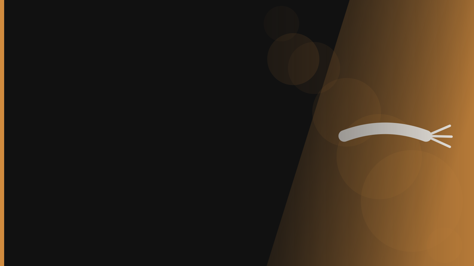 Santera branded background - Silverfish