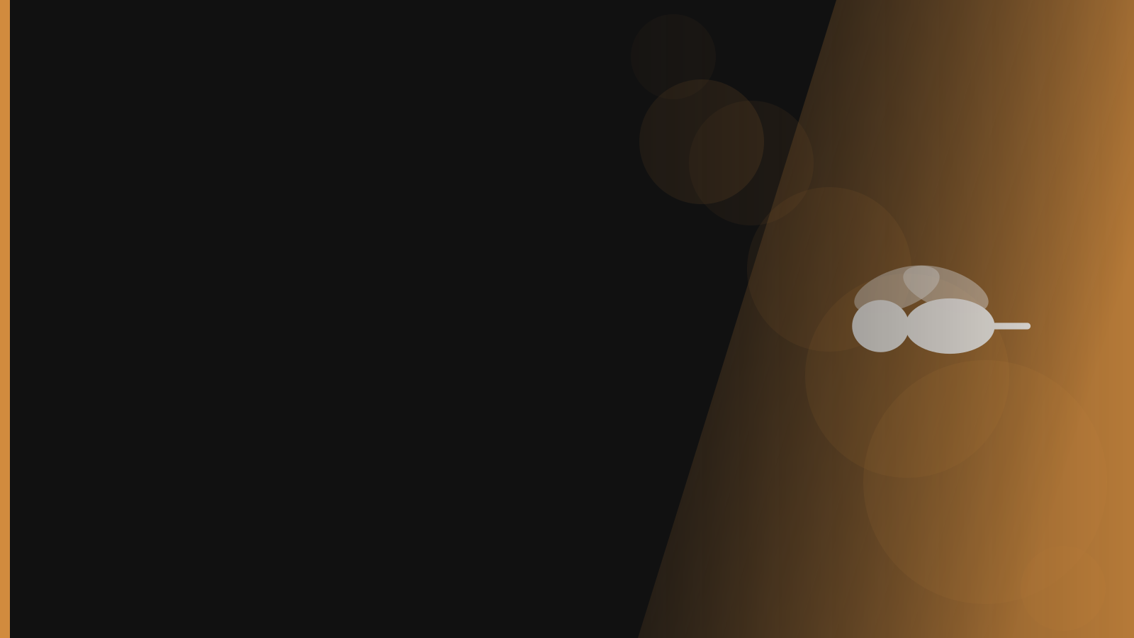 Santera branded background - Wasps & Hornets