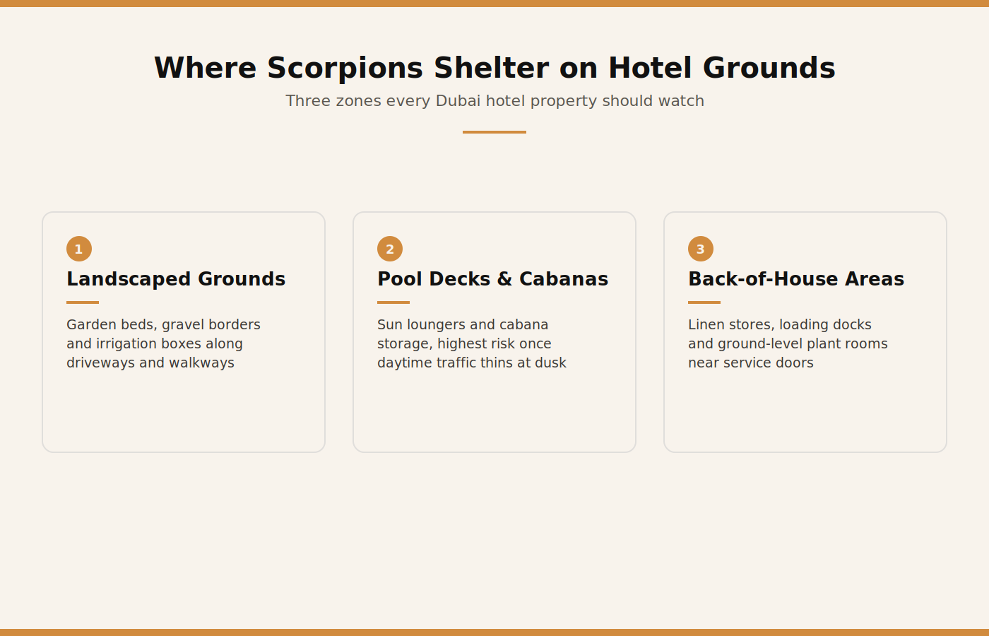 Where scorpions shelter on a Dubai hotel property, covering landscaped grounds, pool decks, and back-of-house storage