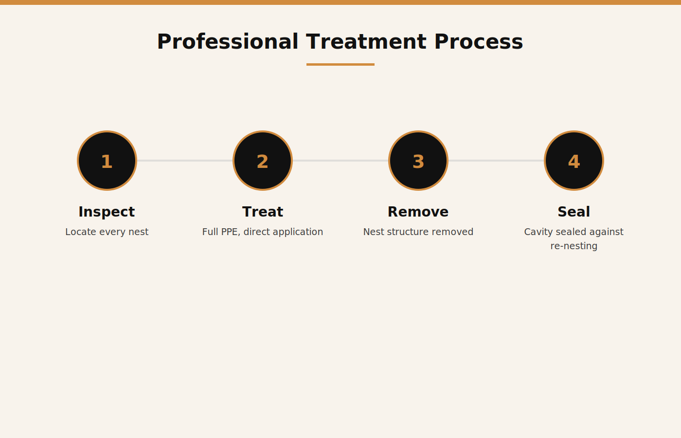 Santera's professional wasp and hornet treatment process for Dubai warehouses