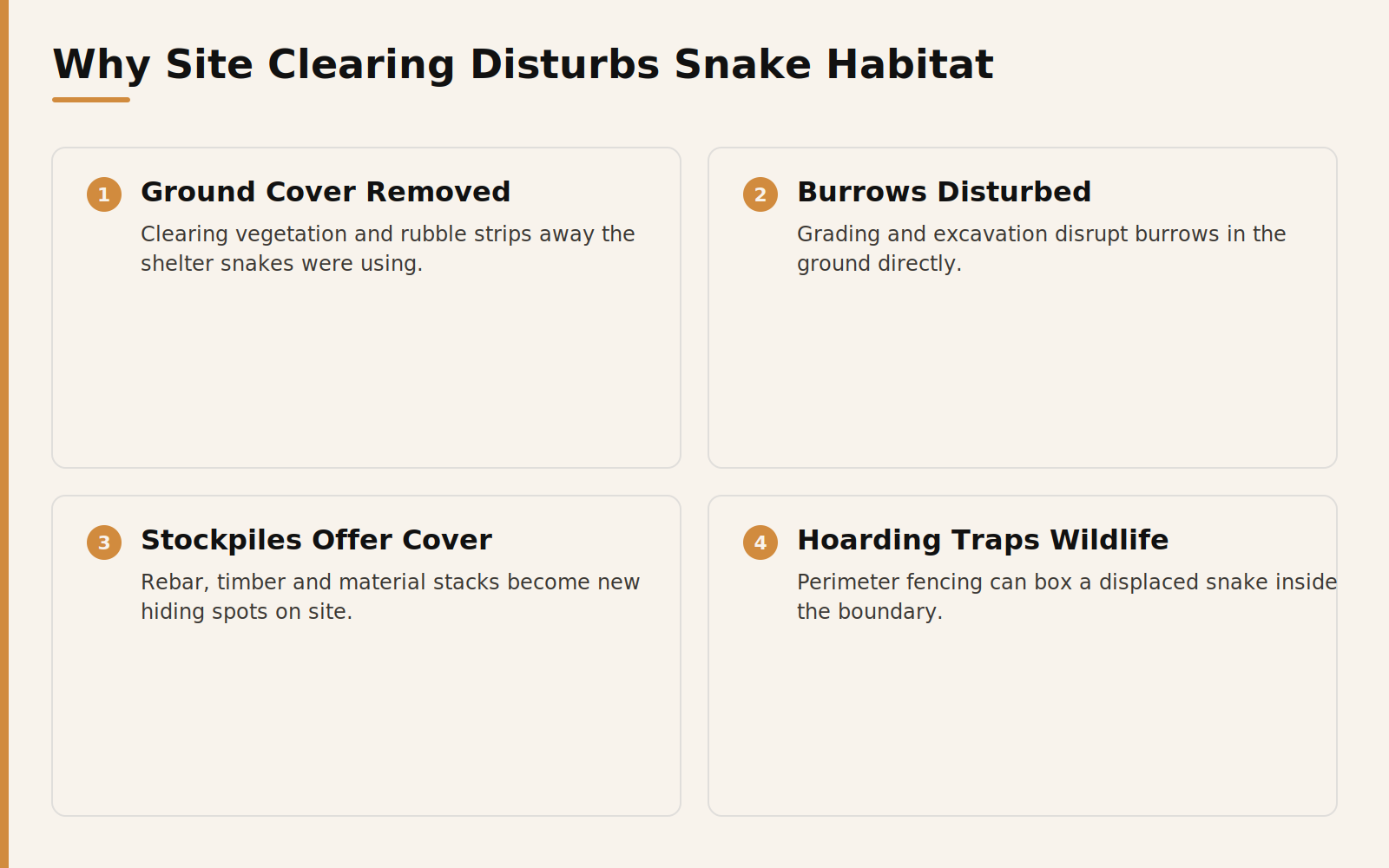 Common snake attractants on a Dubai construction site