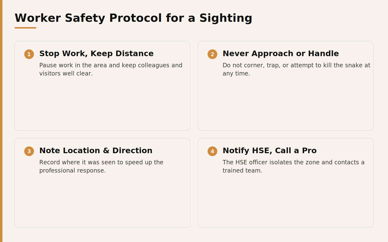 Worker safety protocol steps for a snake sighting on a Dubai construction site