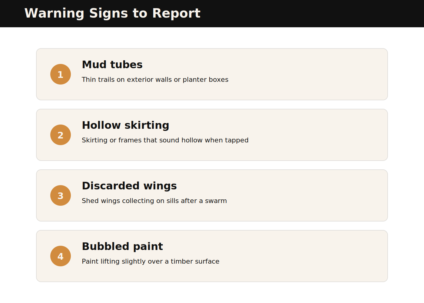 Warning signs of termites hotel staff should report