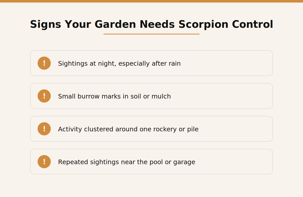 Signs a Dubai villa garden needs professional scorpion control