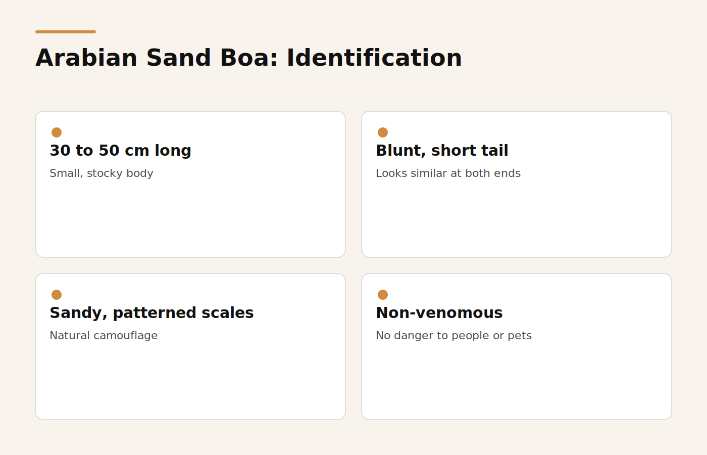 Identification features of the Arabian sand boa found in Dubai gardens