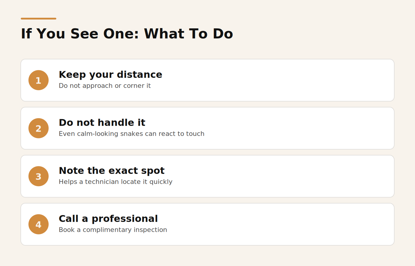 Steps to follow after seeing a sand boa or other snake in a Dubai garden