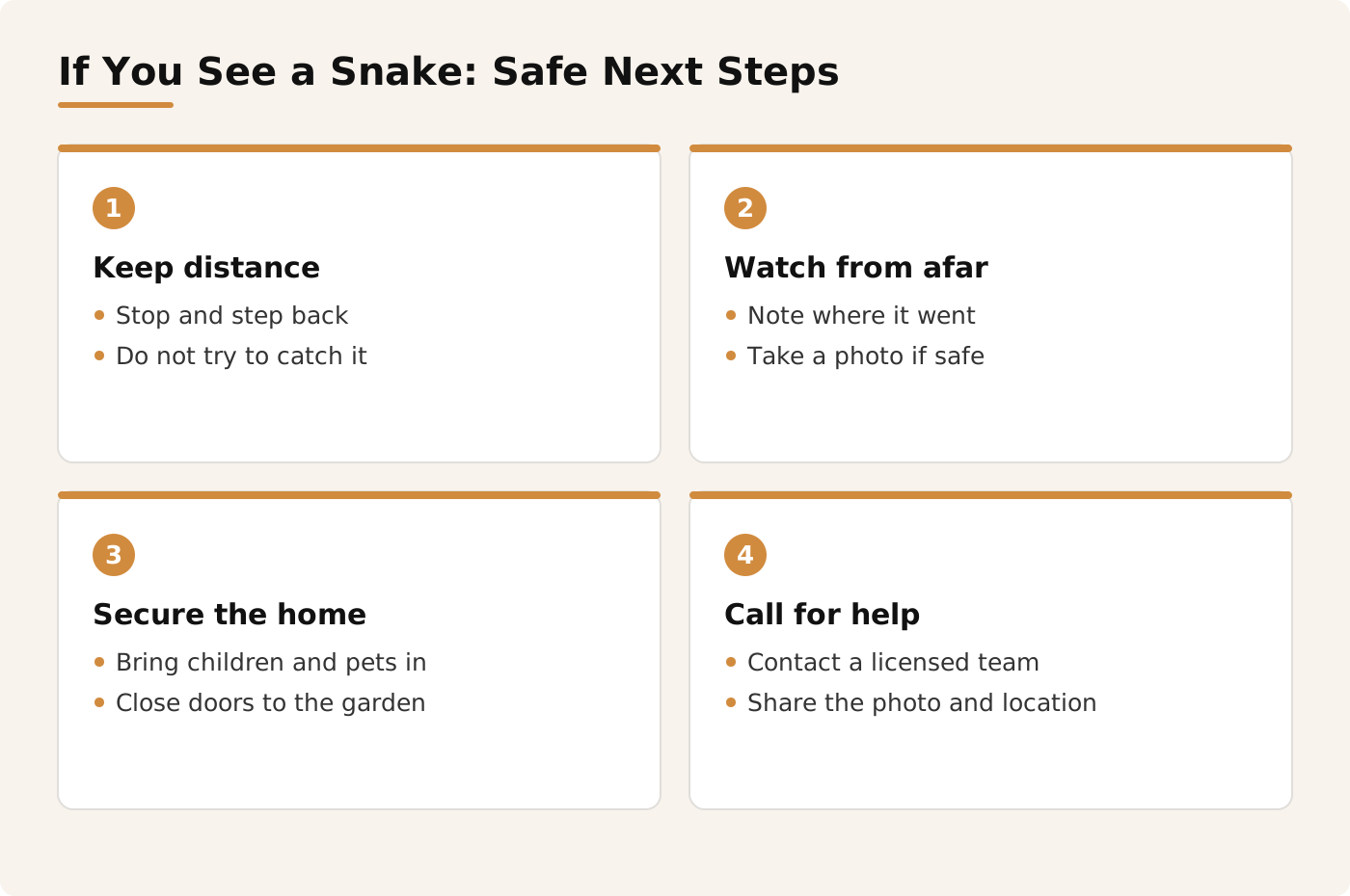 Safe next steps if you see a snake at home