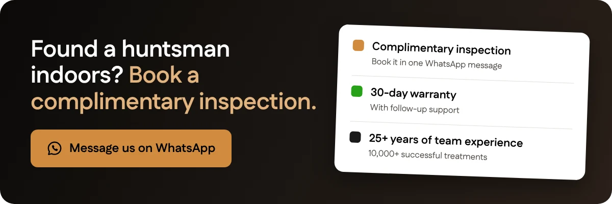 Found a huntsman indoors? Book a complimentary inspection with Santera on WhatsApp