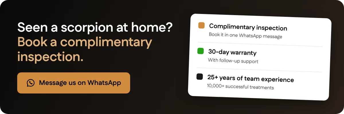 Seen a scorpion at home? Book a complimentary inspection with Santera on WhatsApp