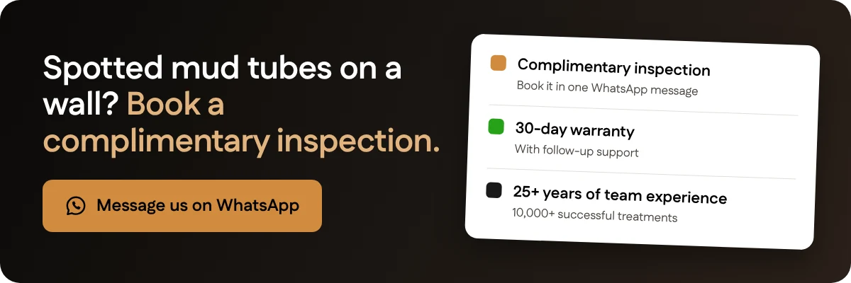 Spotted mud tubes on a wall? Book a complimentary inspection with Santera on WhatsApp