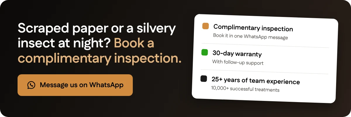 Scraped paper or a silvery insect at night? Book a complimentary inspection with Santera on WhatsApp