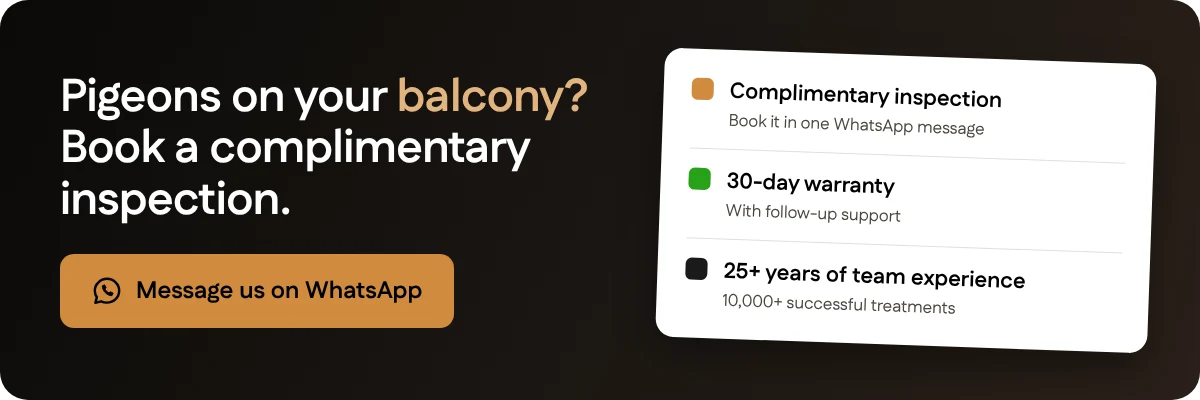 Book a complimentary inspection on WhatsApp for pigeons on Dubai balconies