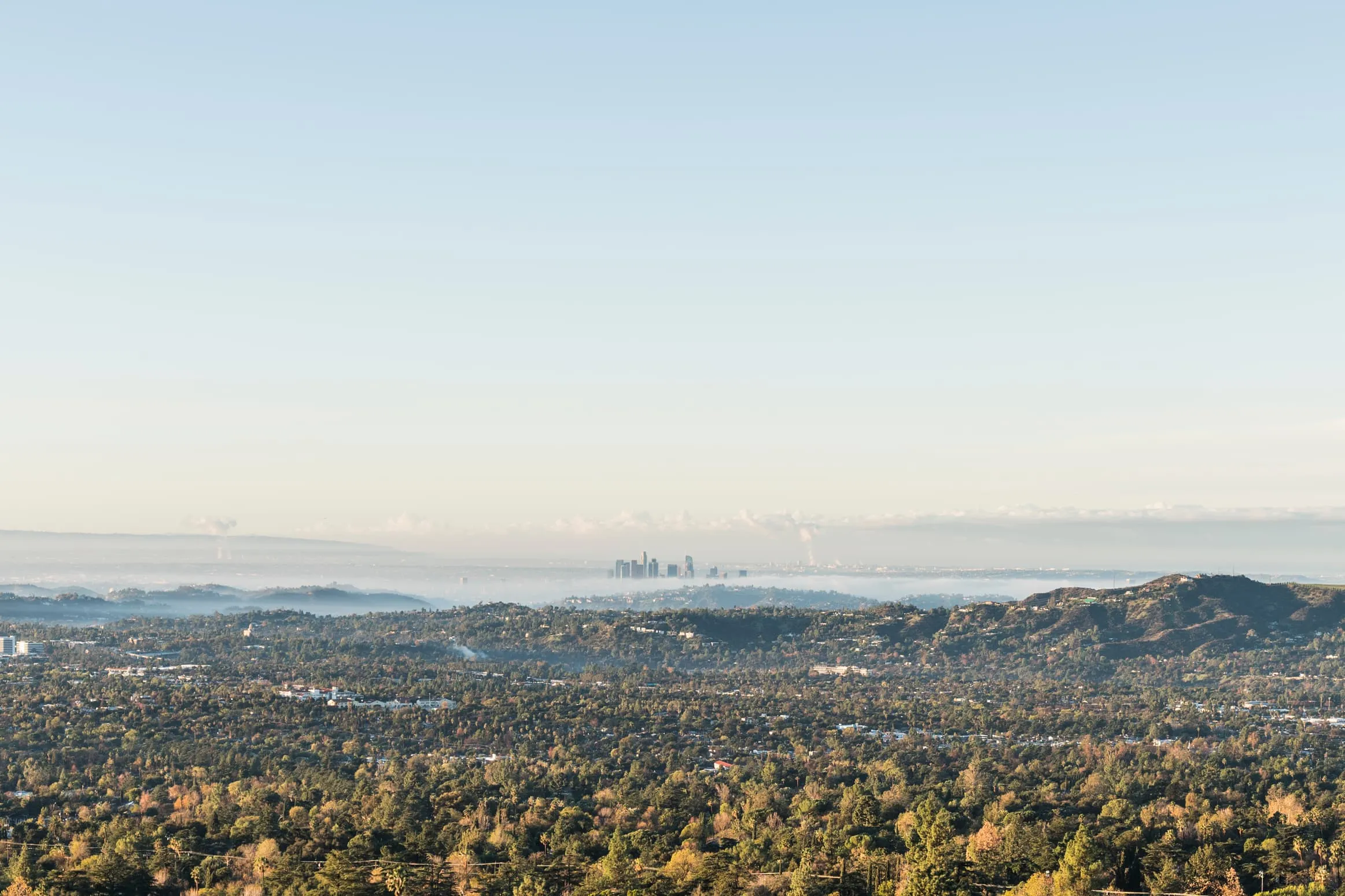 Distant city skyline behind rolling hills and dense tree-covered landscape under a clear sky.