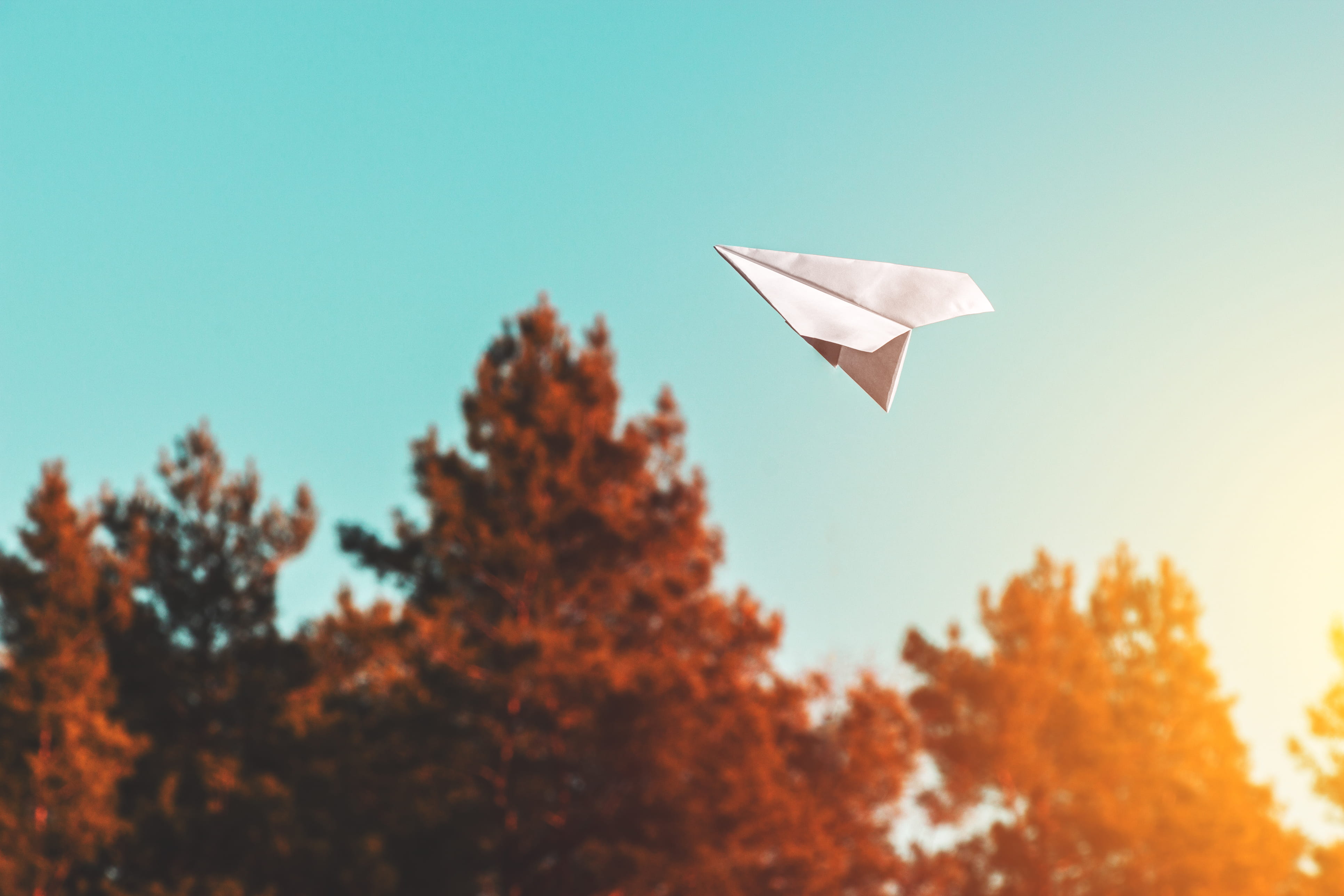 Papierflieger fliegt über Bäume mit orangefarbenem Herbstlaub bei klarem Himmel.
