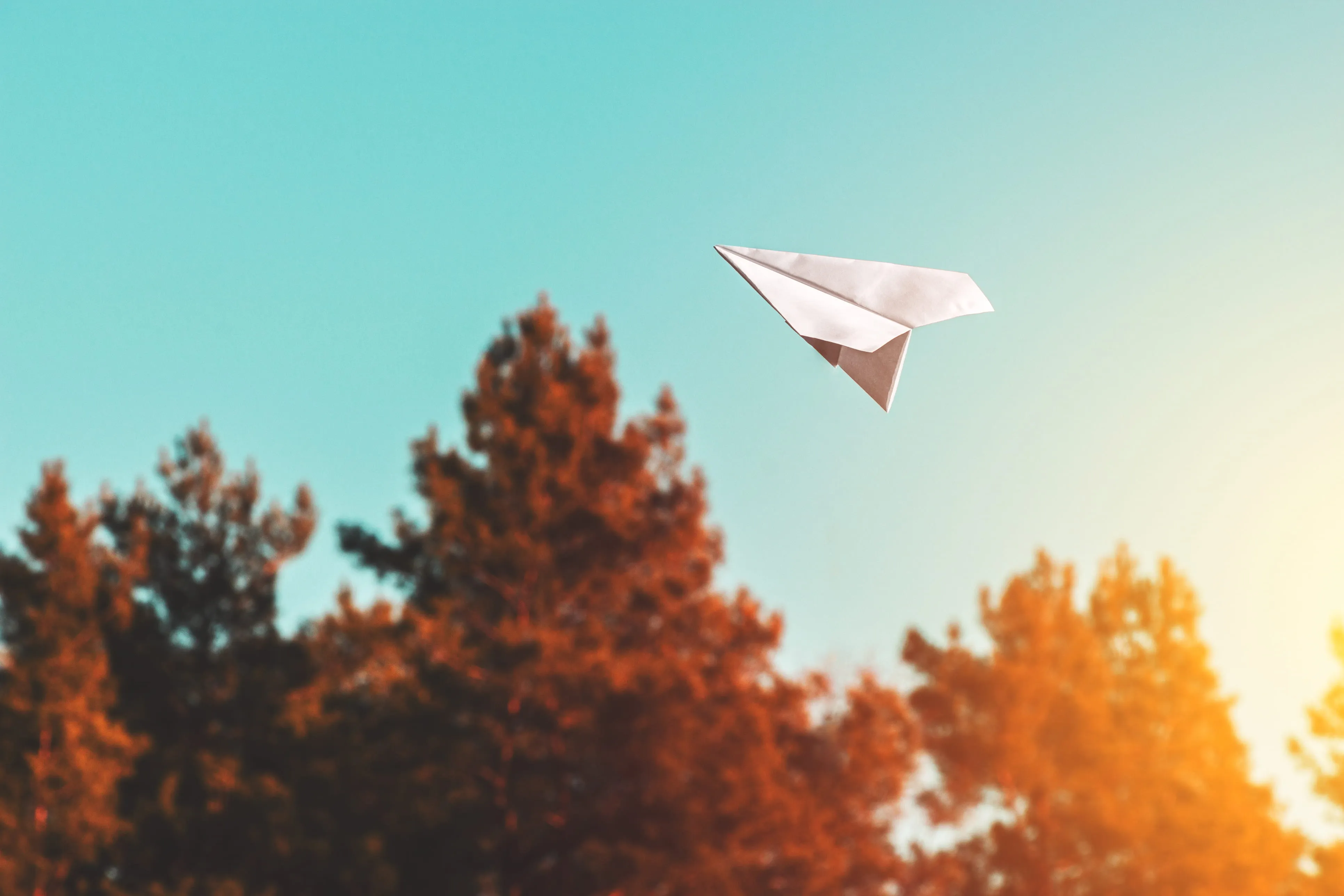 Papierflieger fliegt über Bäume mit orangefarbenem Herbstlaub bei klarem Himmel.