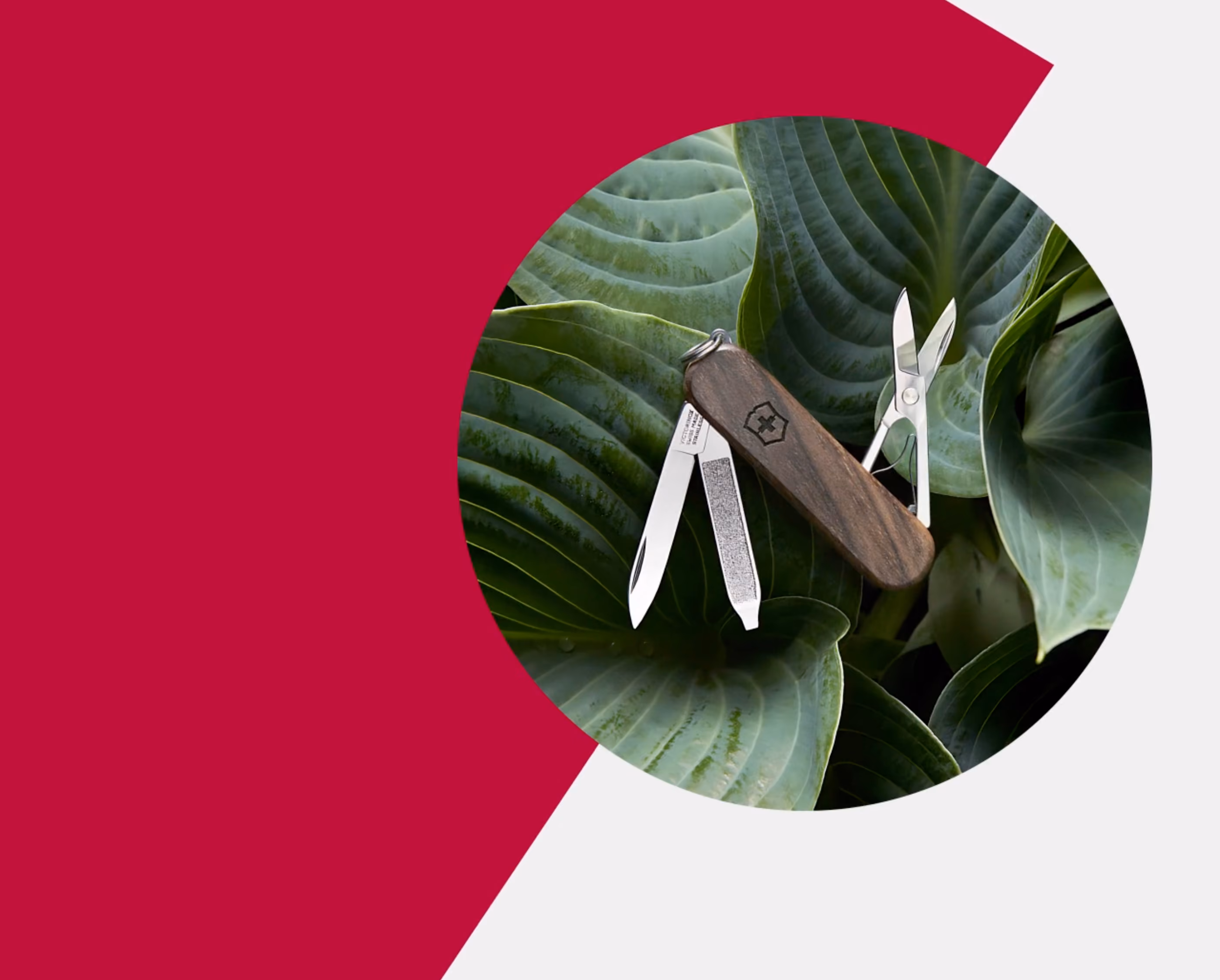 Video of Victorinox e-commerce website homepage banner, featuring a close-up of a modern watch with a grey dial.