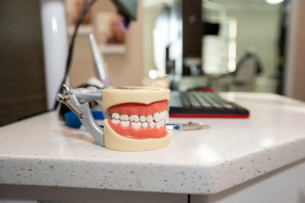 Dental model with teeth on a white countertop in a dental office setting.