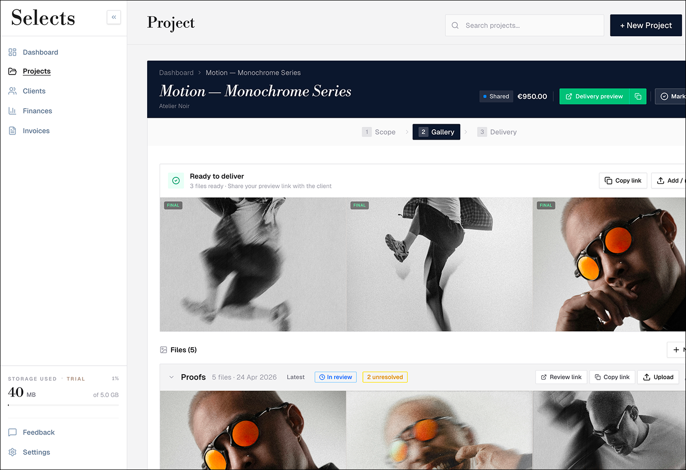 Selects project delivery page showing a paid photography project with files ready for client download