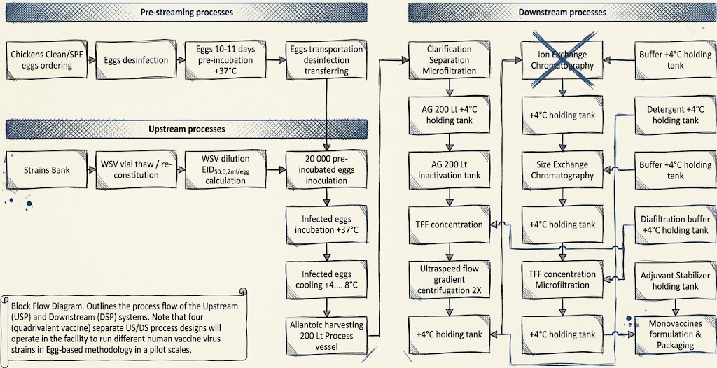 Social media campaign visuals showcasing brand engagement.