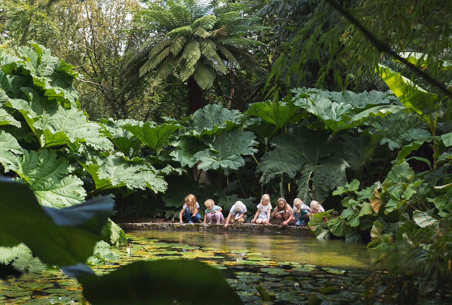 Seven children crouching by a pond surrounded by large green leaves and tropical plants.