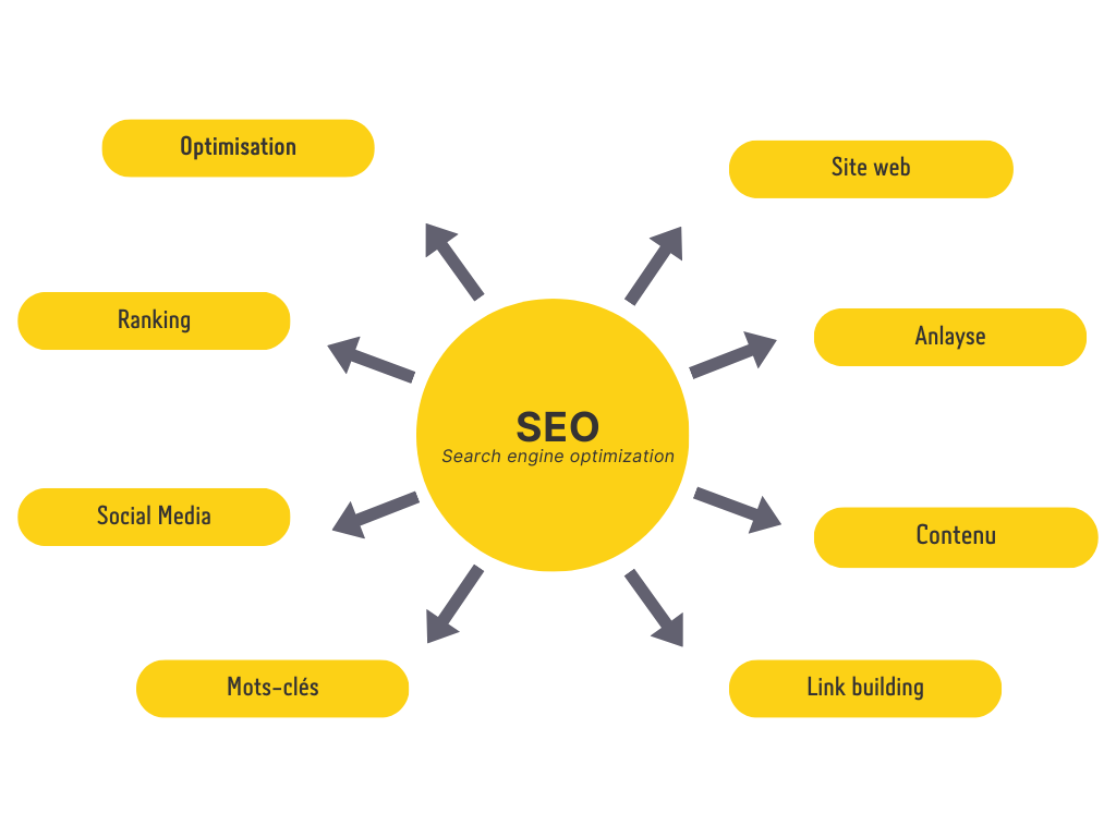 Schéma explicatif de toutes les branches du SEO