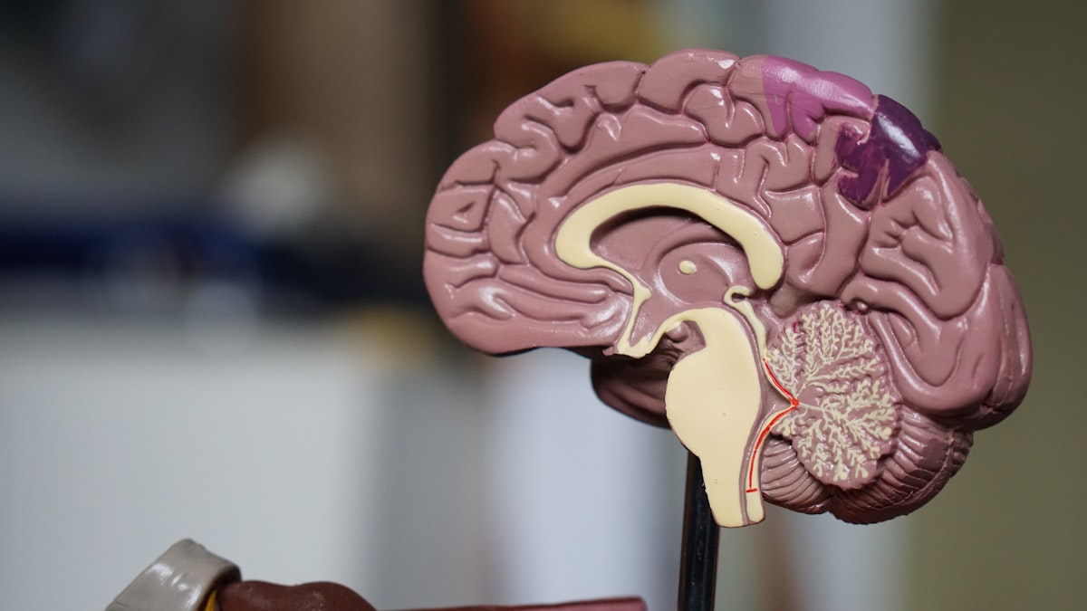 Woman over 40 considering bioidentical hormone therapy in Ann Arbor
