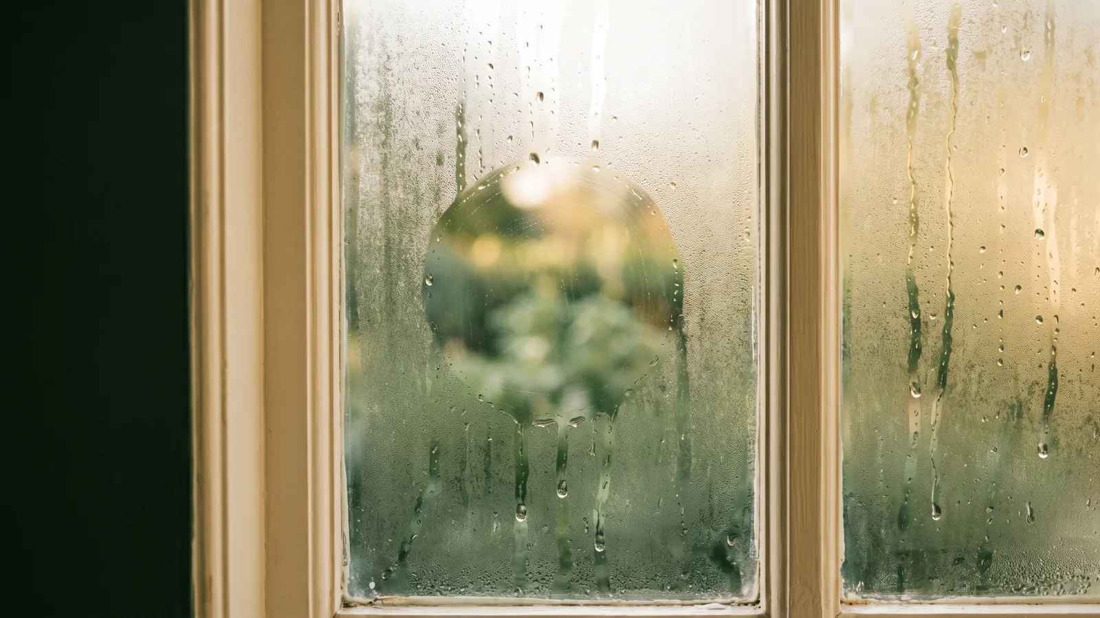 Brain Fog Is Not Normal: It Is a Hormone Problem