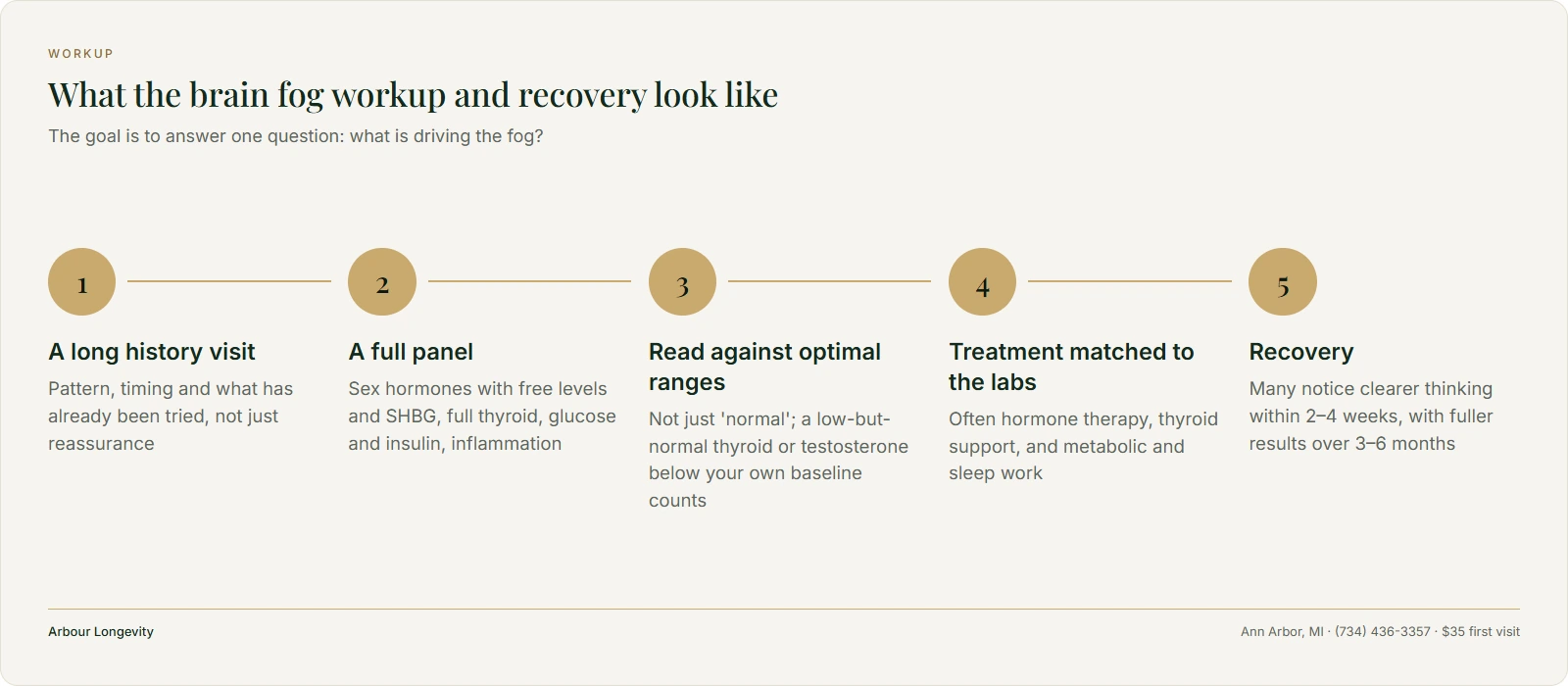 Five-step brain fog workup: history, full lab panel, optimal ranges, matched treatment, recovery over 2–4 weeks to 3–6 months