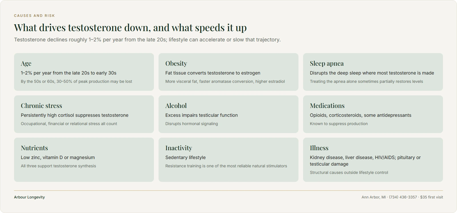 Nine-tile grid of testosterone decline drivers: age, obesity, sleep apnea, stress, alcohol, medications, nutrients, illness